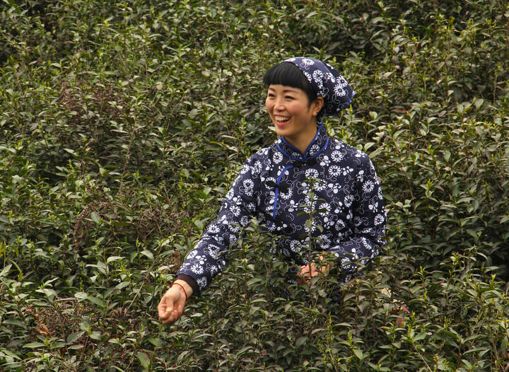 红帘之后